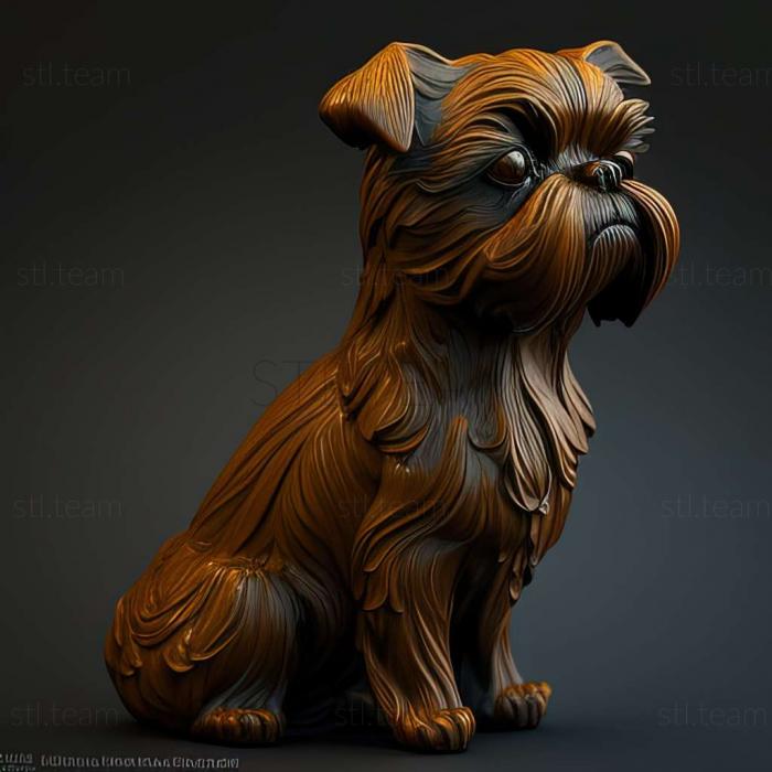 Brussels Griffon dog